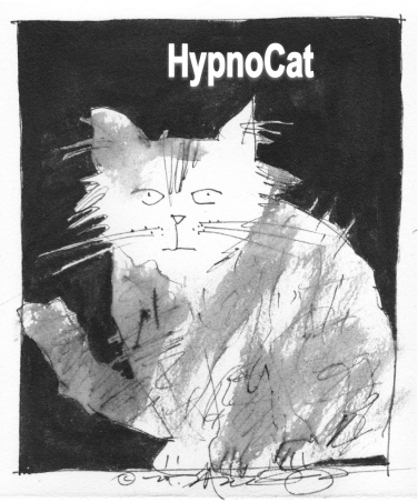 funny cats with words. Cats, drawing, Funny cats,
